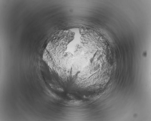 X0000116630457201001221404