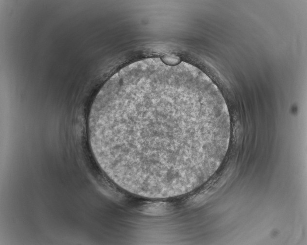 X0000116630459201001221404