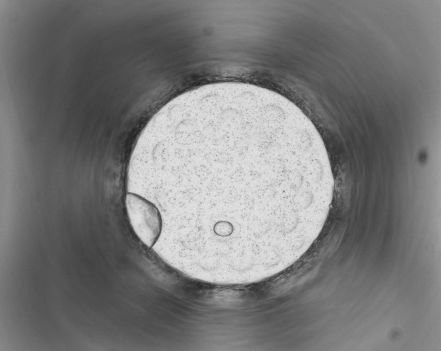 X0000116630462201001221404