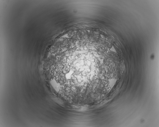 X0000116630463201001221404