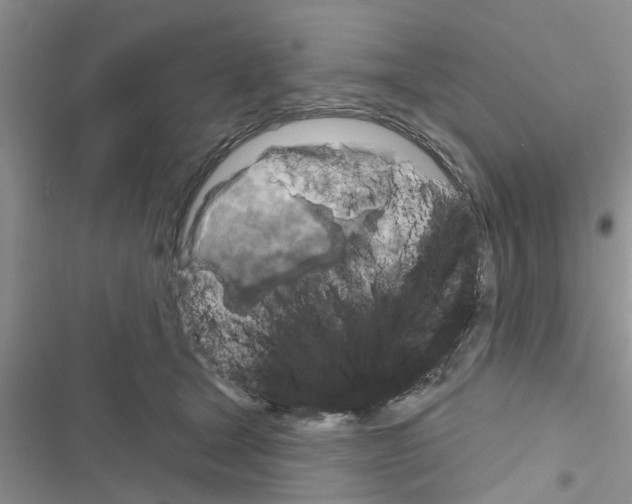 X0000116630465201001221404