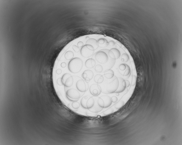 X0000116630466201001221404