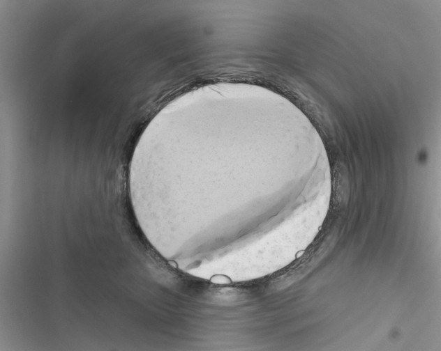 X0000116630467201001221404