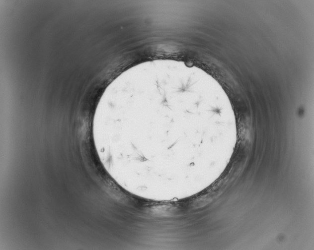 X0000116630468201001221404