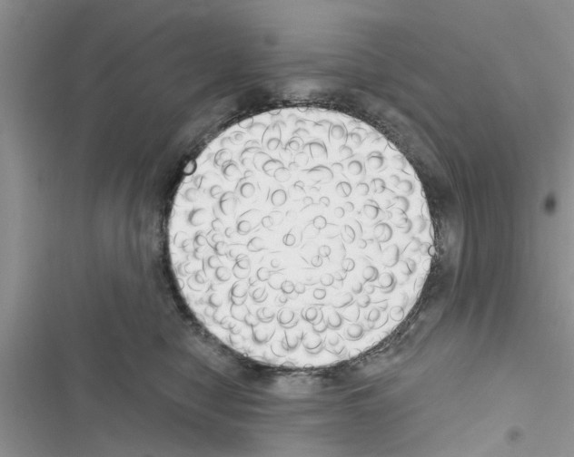 X0000116630470201001221404