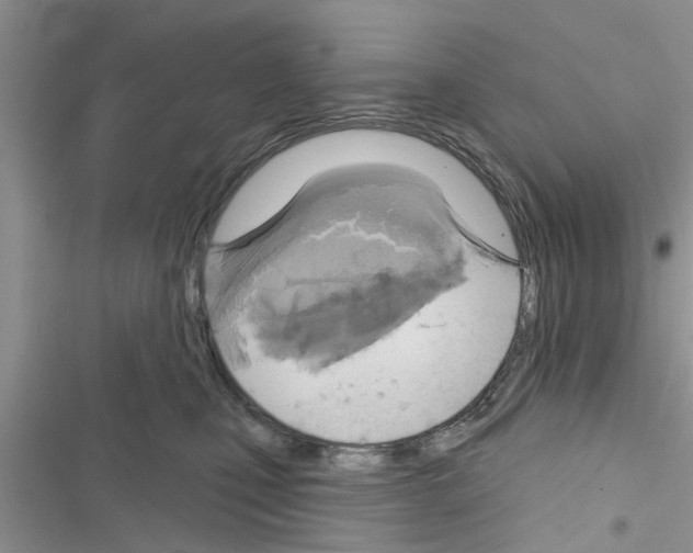 X0000116630471201001221404