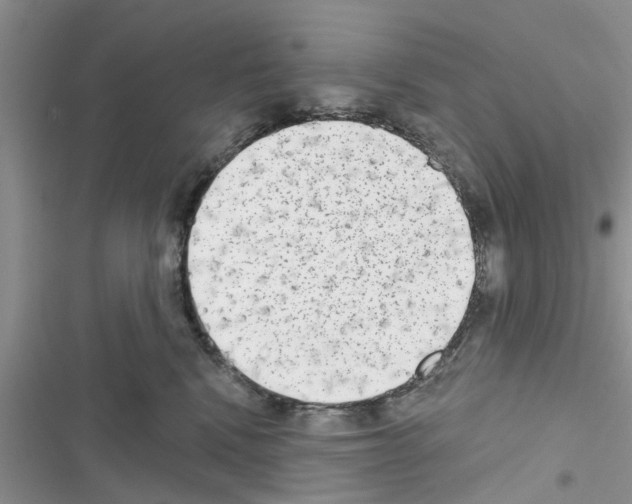 X0000116630472201001221404