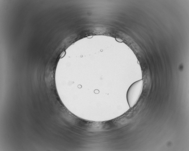 X0000116630473201001221404
