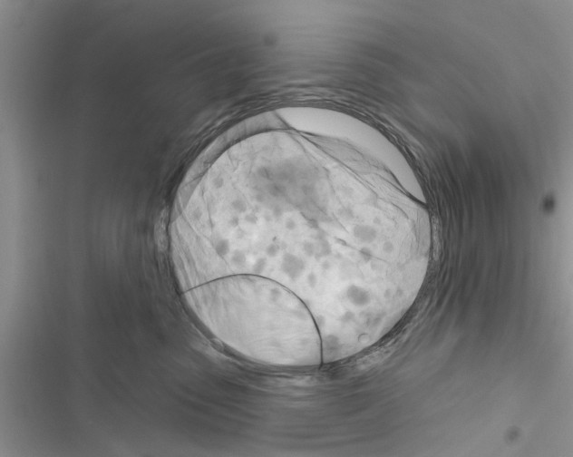 X0000116630475201001221404
