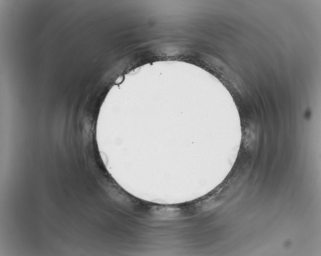 X0000116630476201001221404