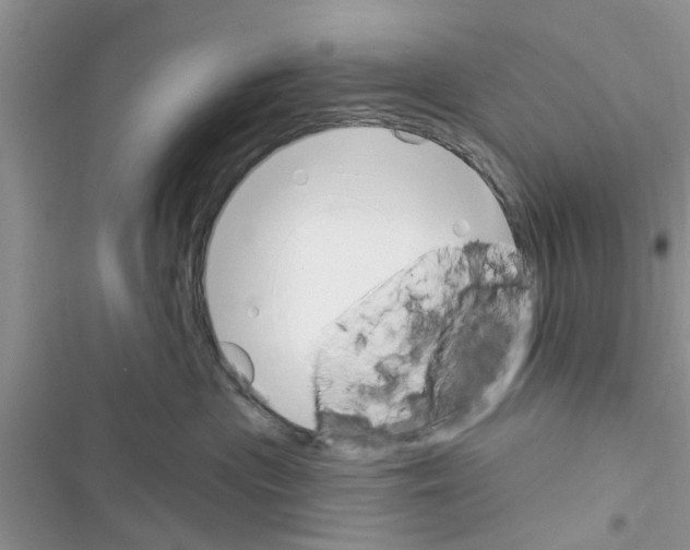 X0000116630477201001221404