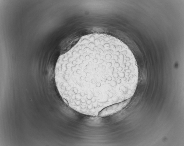 X0000116630478201001221404
