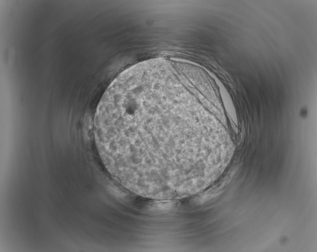 X0000116630479201001221404