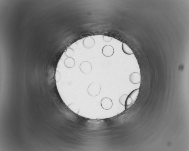X0000116630480201001221404