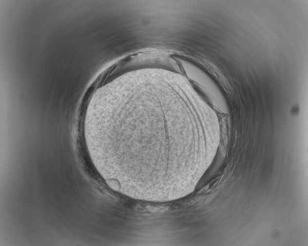 X0000116630484201001221404