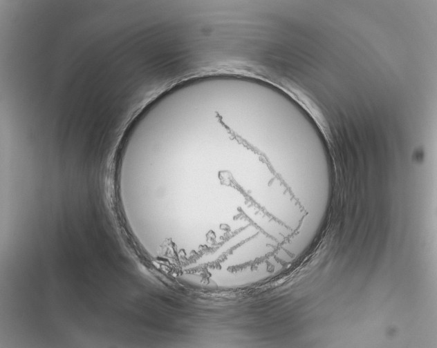 X0000116630485201001221404