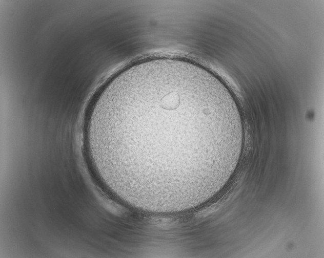 X0000116630486201001221404