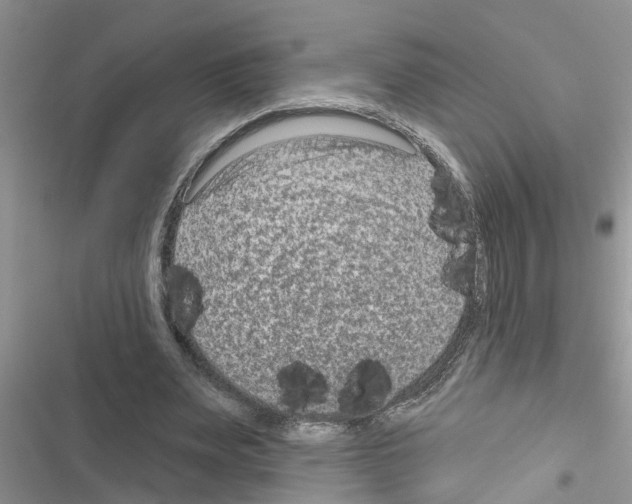 X0000116630487201001221404