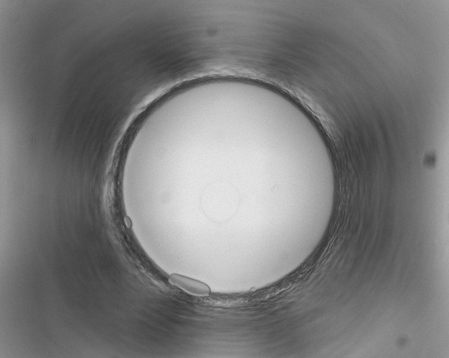 X0000116630488201001221404
