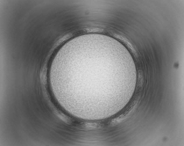 X0000116630490201001221404