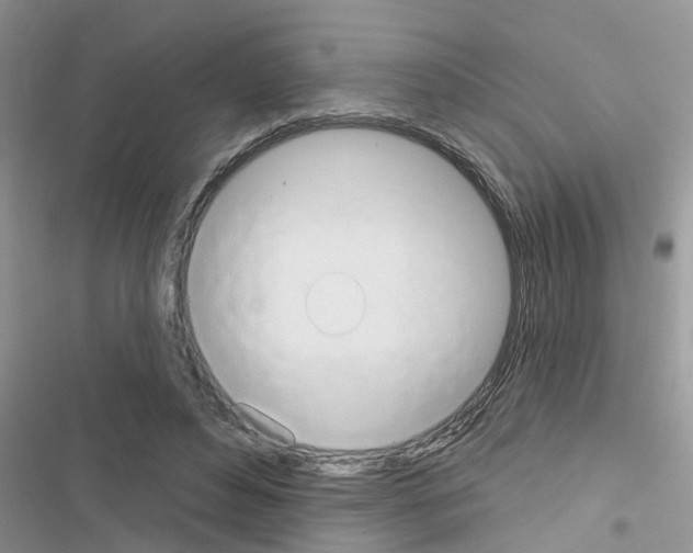 X0000116630496201001221404