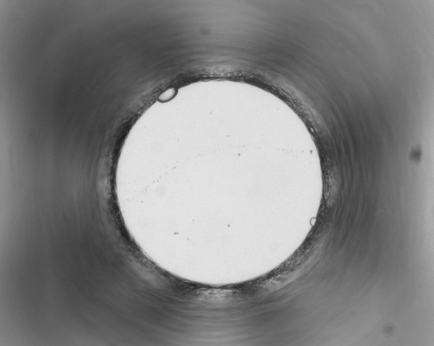 X0000116630497201001221404
