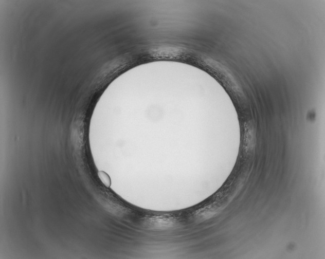 X0000116630498201001221404