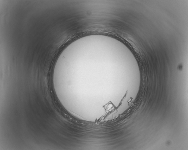 X0000116630499201001221403