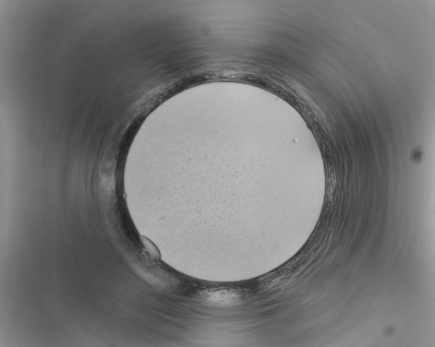 X0000116630500201001221403