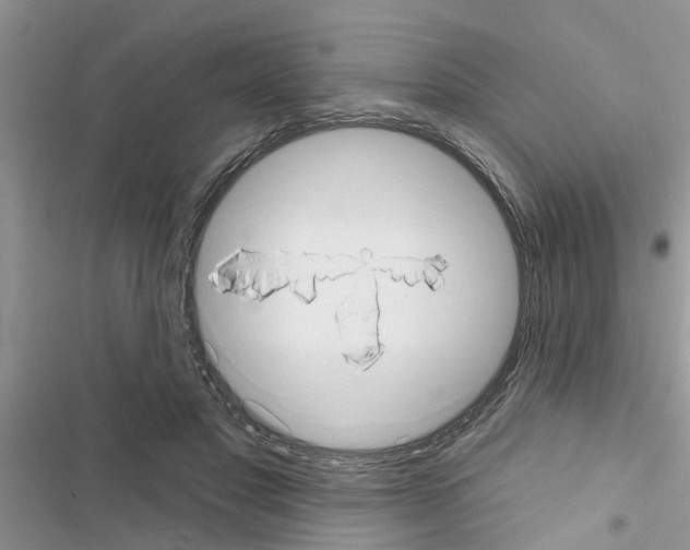 X0000116630501201001221403