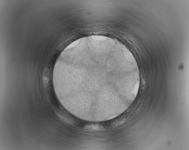 X0000116630503201001221403