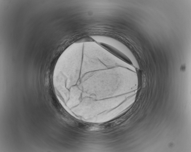 X0000116630504201001221403