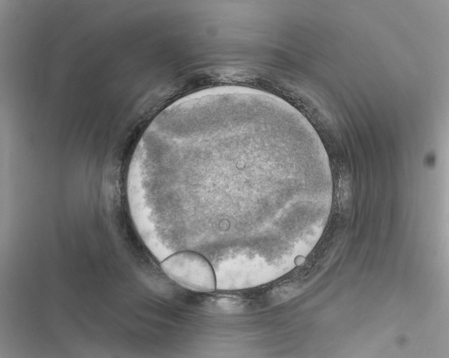 X0000116630506201001221403