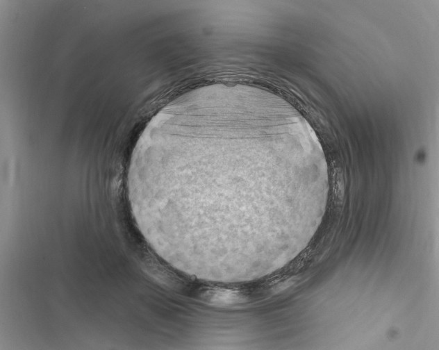 X0000116630507201001221403