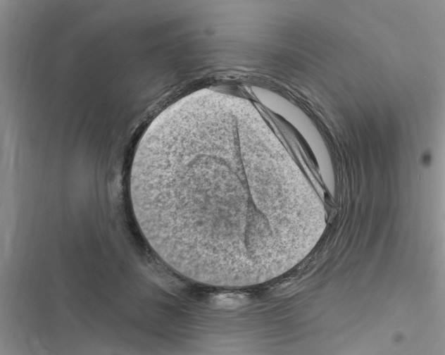 X0000116630508201001221403