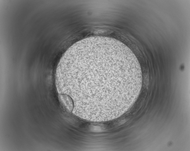 X0000116630510201001221403