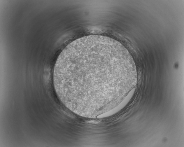 X0000116630511201001221403
