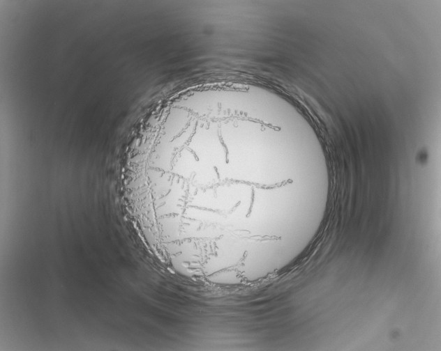 X0000116630513201001221403