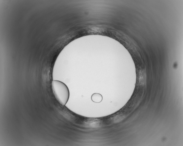 X0000116630514201001221403