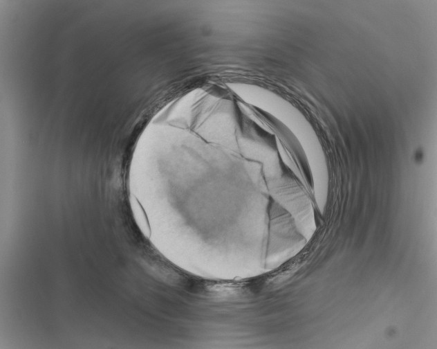 X0000116630516201001221403