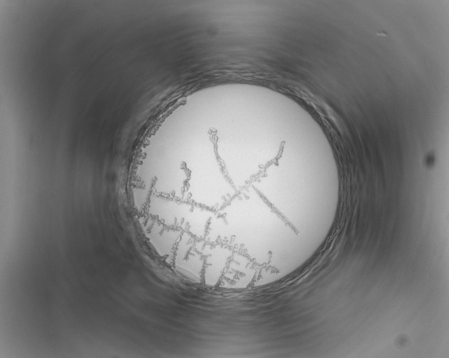 X0000116630517201001221403