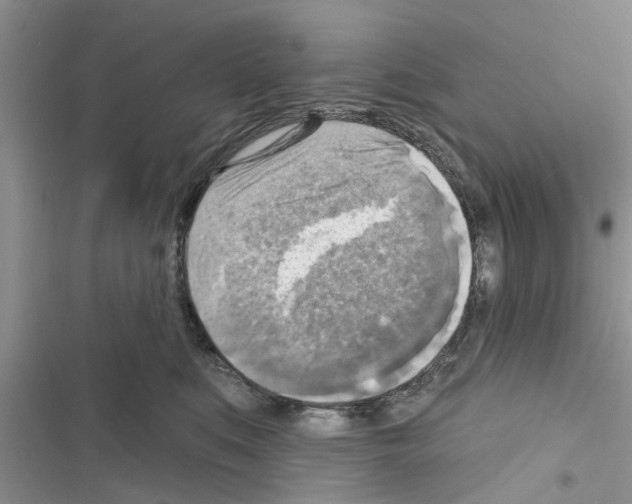 X0000116630519201001221403