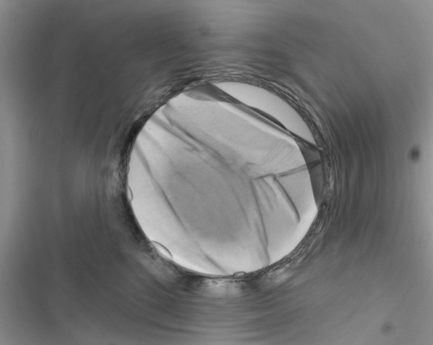 X0000116630520201001221403