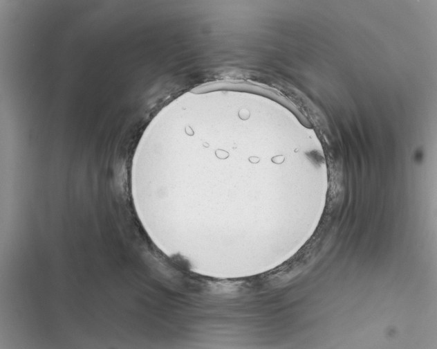 X0000116630523201001221403