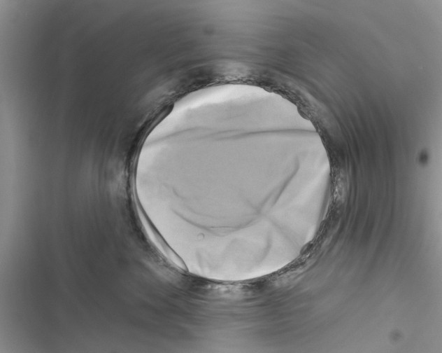 X0000116630524201001221403