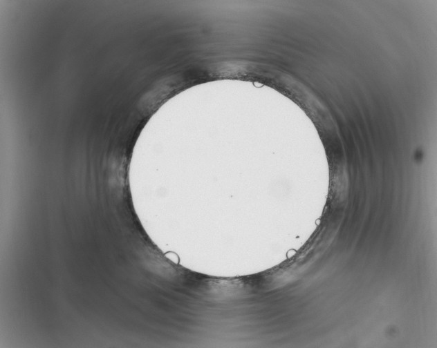 X0000116630525201001221403