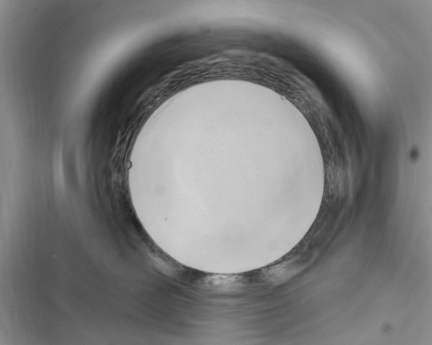X0000116630526201001221403