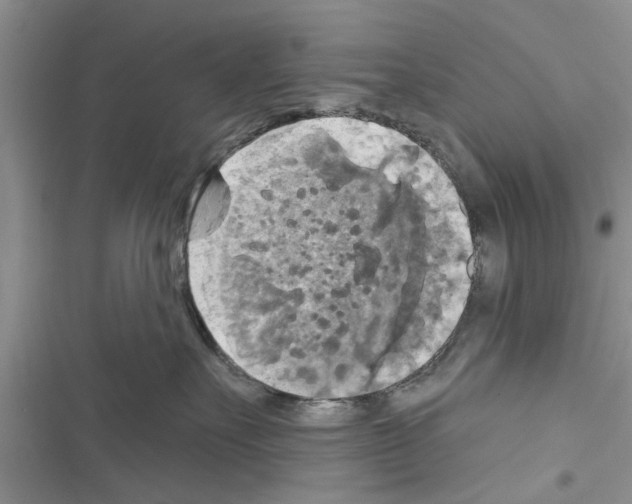 X0000116630527201001221403
