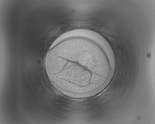 X0000116630528201001221403