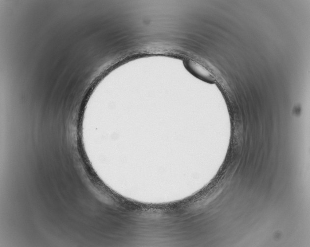 X0000116630530201001221402